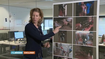 Rtl Nieuws - 19:30 Uur - 08:30 Uur