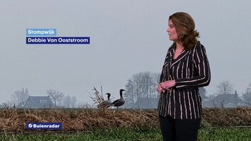 RTL Weer Laat