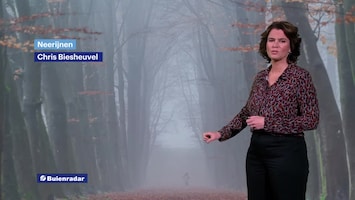 Rtl Weer - Laat