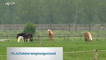 Lekker Weg In Eigen Land Afl. 8