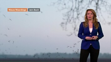 Rtl Weer - 19:55 Uur