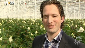 RTL Boulevard Kweker over de Avalanche rozen, misschien de roos voor troonswisseling