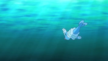 Pokémon Er zwemmen meer vissen in de zee!