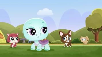 Littlest Pet Shop: A World Of Our Own Afl. 42