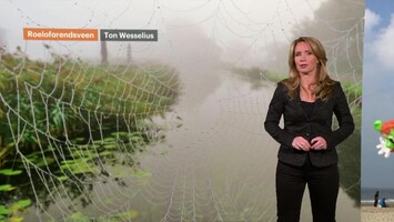 Rtl Weer - Laat