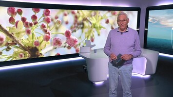 RTL Nieuws 07:00 uur