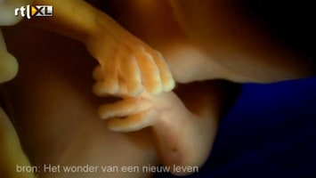 RTL Nieuws Eerste baby geboren na embryodonatie