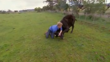 De Dierenkliniek Down Under - Afl. 21