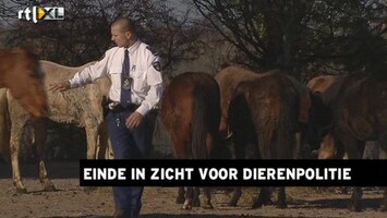 RTL Z Nieuws Er komt waarschijnlijk een einde aan de dierenpolitie