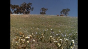 Little House On The Prairie Founder's day