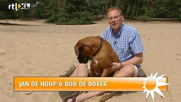 RTL Boulevard Mysterie rond twitterde hond van Jan de Hoop