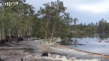 RTL Nieuws Bos verdwijnt pardoes in sinkhole