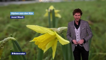 Rtl Weer - 18:30 Uur