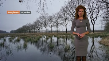 RTL Weer Laat