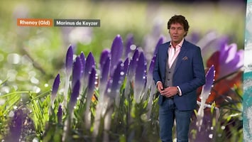 Rtl Weer - Laat