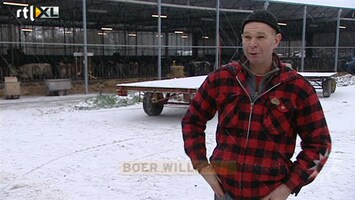 RTL Boulevard Rondleiding bij boer Willem