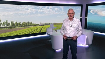 Rtl Nieuws - 19:30 Uur - 08:20 Uur