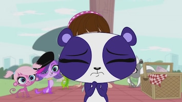 Littlest Pet Shop Zo interessant