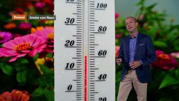 Rtl Weer - 19:55 Uur