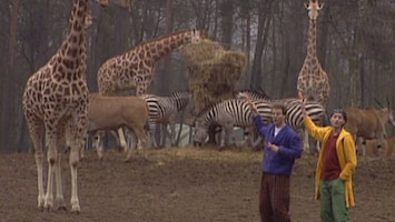 Ernst, Bobbie En De Rest - De Dierentuin Is Dicht