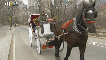 RTL Nieuws 'Weg met de paardenkoets in New York'