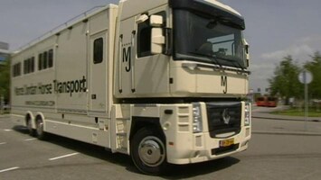 RTL Transportwereld Paardentransport