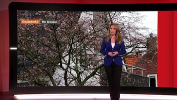 Rtl Weer - 18:30