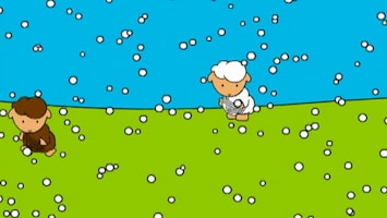 Wolleke - Poedel In De Sneeuw