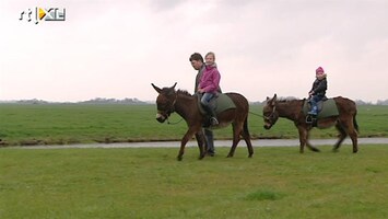 RTL Nieuws Slecht weer zorgt voor minder paastoeristen