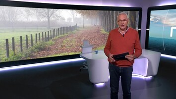 Rtl Nieuws - 19:30 Uur - 08:20 Uur