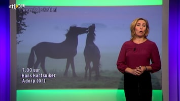 Rtl Weer - 19:55 Uur