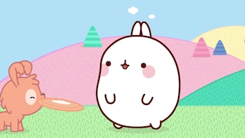 Molang - Afl. 33