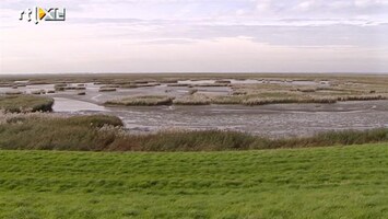 RTL Nieuws Belgen woedend om Hedwigepolder