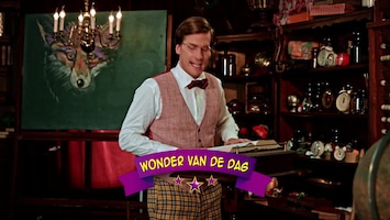 Wonderschool Wonderlijke truc met paperclips