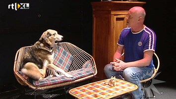 RTL Boulevard Arjan Ederveen op het podium met hond Stuk