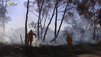 RTL Nieuws Australiërs op de vlucht voor bosbranden