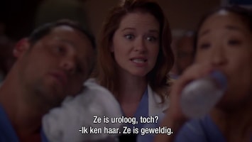 Grey's Anatomy Love, loss and legacy