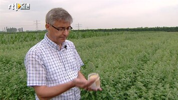 Editie NL Aardappel anders