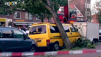 RTL Nieuws Bomen vallen massaal om door wind