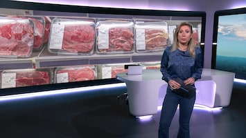 Rtl Nieuws - 19:30 Uur - 06:30 Uur