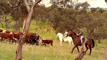 McLeod's Daughters Fairy tale ending