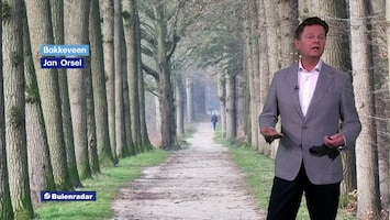 Rtl Weer - 19:55