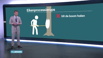 RTL Nieuws 19:30 uur