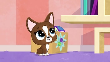 Littlest Pet Shop: A World Of Our Own - Afl. 7