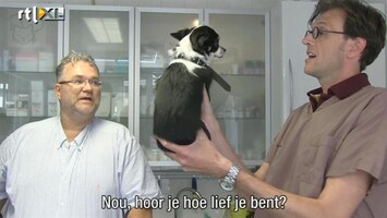 Barbie's Baby De liefste Chihuahua ooit?!