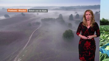 Rtl Weer - 19:55 Uur