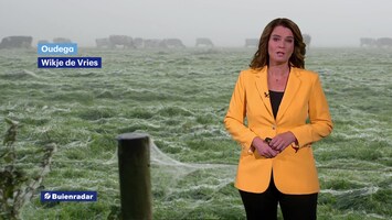 Rtl Weer - 19:55