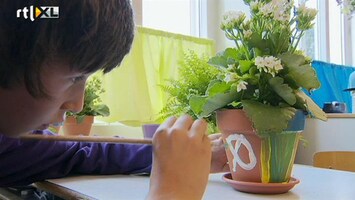 Green-kids Een oerwoud in de klas