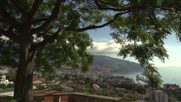 Pluijms Eetbare Wereld - Madeira