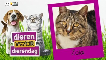 Carlo & Irene: Life 4 You Mandje gezocht!